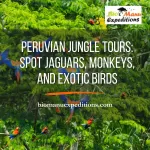 peruvian jungle tours
