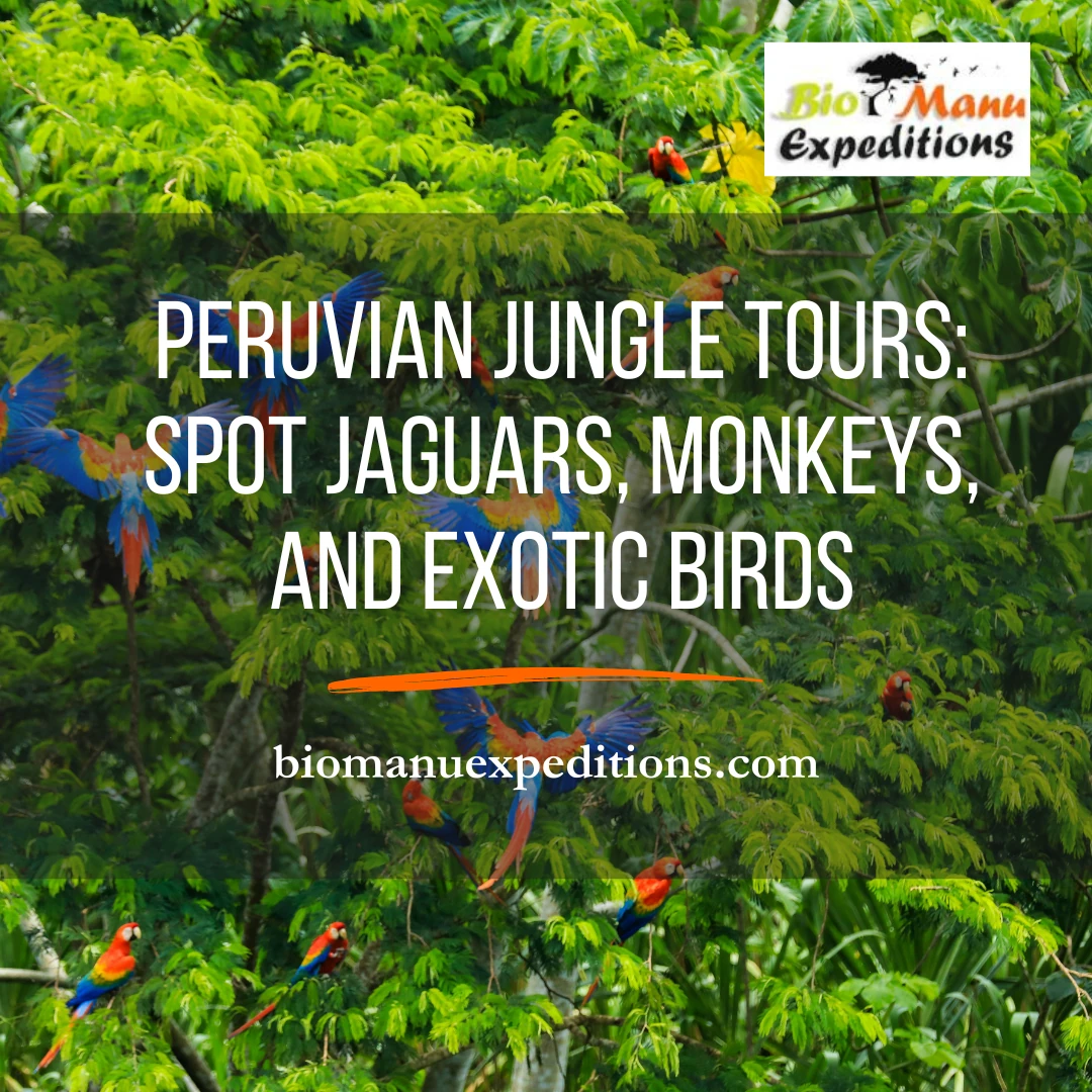 peruvian jungle tours