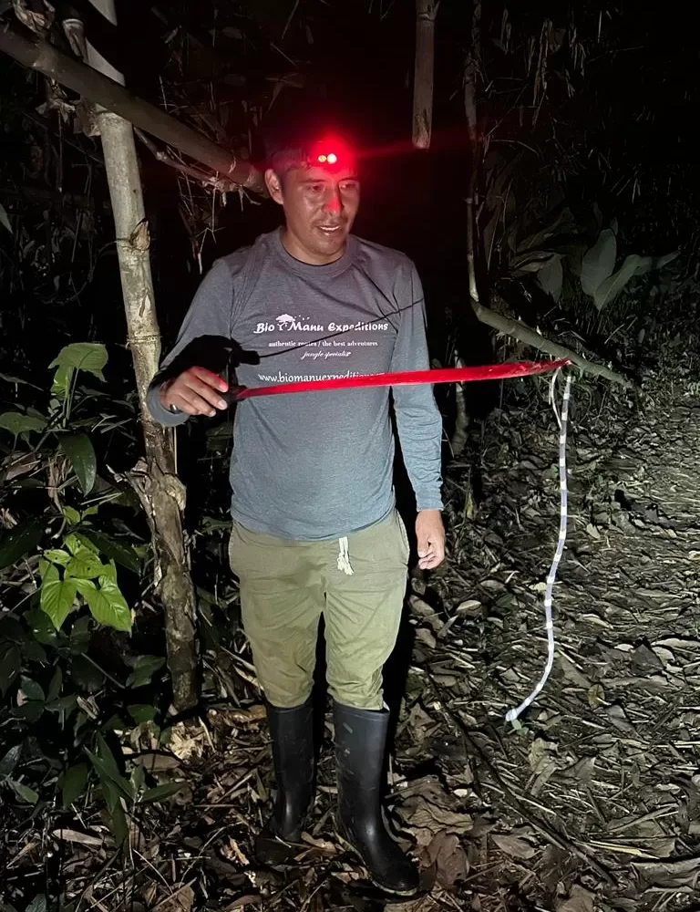 Manu Reserved Zone Tour