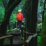 Climate and Season Shape