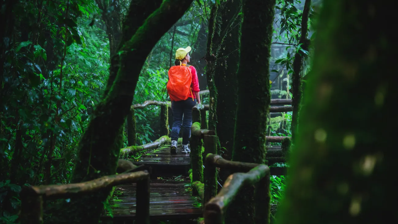 Climate and Season Shape