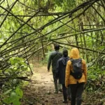 Amazon tours