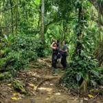 Jungle