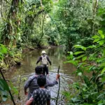 Manu National Park